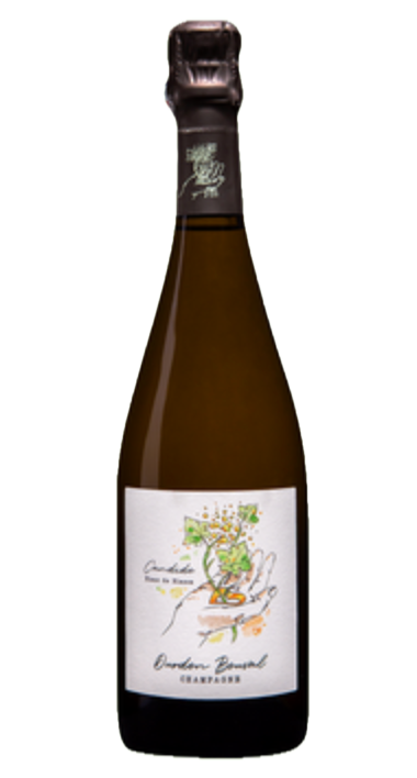 DURDON BOUVAL 'Candide'