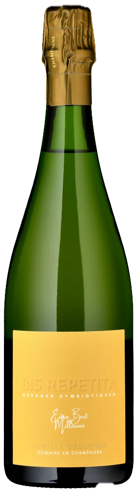 FAMILLE DELOUVIN 'Bis Repetita' 2013