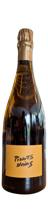 CHAMPAGNE BRICE ALLOUCHERY 'Pinots Noirs'